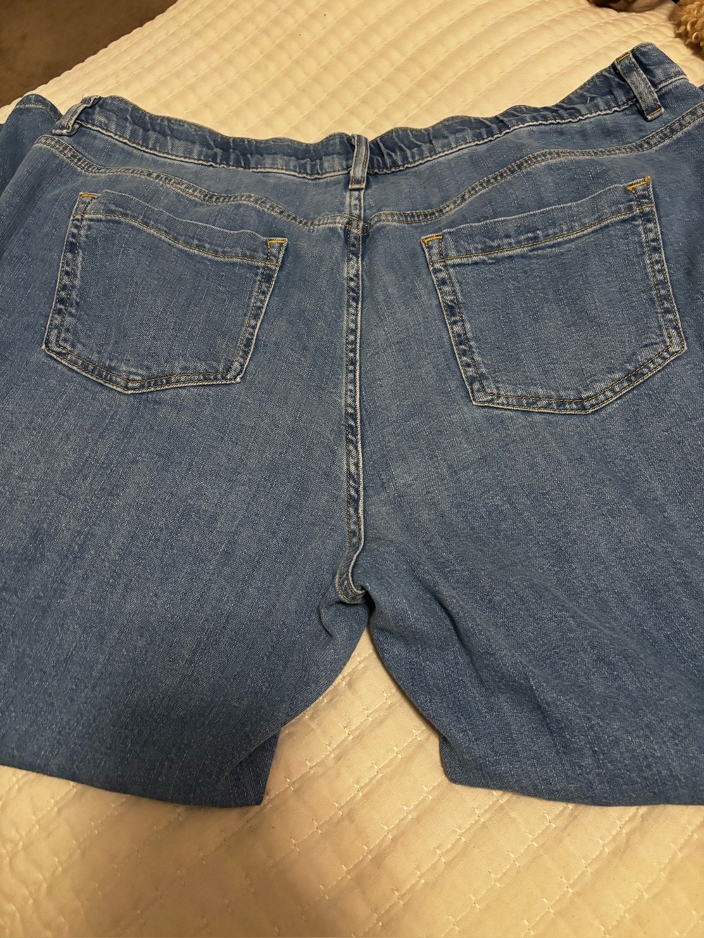 Women’s J Jill loose Fit Elastic Waist Blue Jeans